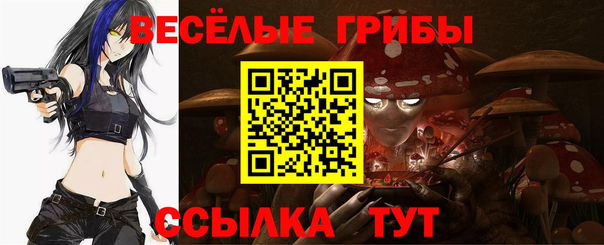 где продают   Галлюциногенные грибы GOLDEN TEACHER  Вход с VPN  Коркино 