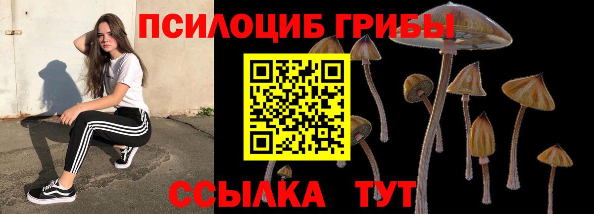 Галлюциногенные грибы Magic Shrooms Коркино